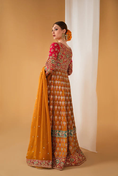 Laam | Satrangi | 3 piece chiffon fabic